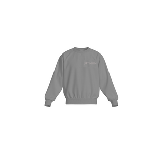 The Classic Crewneck Sweat Top - Grey